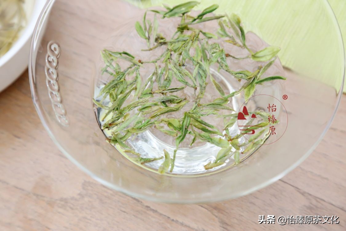 喝茶可養生？ 四季飲茶大不同，喜歡飲茶的你一定要收藏