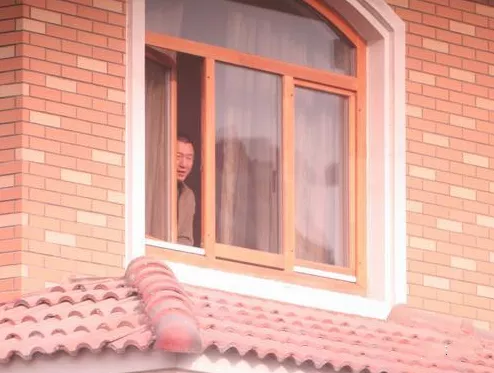 左小青的红尘情史,因美貌与9个男人传绯闻,嫁百亿富商终成空