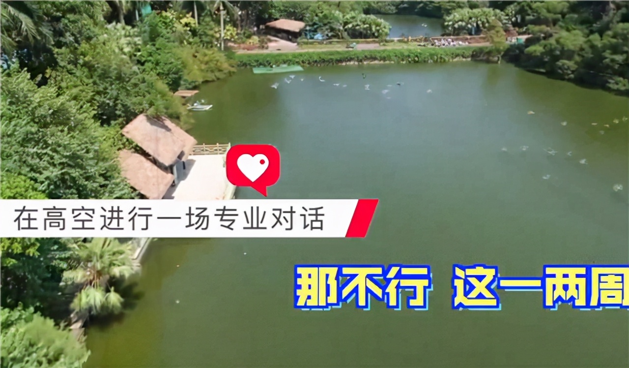 全红婵顿顿吃辣，主持人意外：跟咱广东口味不同啊？教练尴尬回应