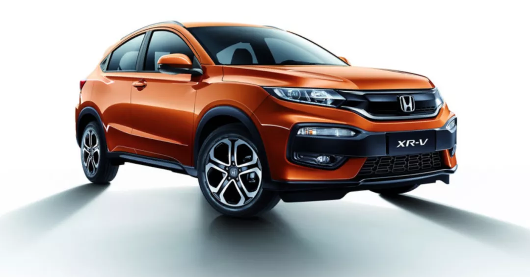 冷水观赏鱼排行榜_“冷水”养出“绿产业”——生态健康养殖推动我省冷水鱼产业高质量...