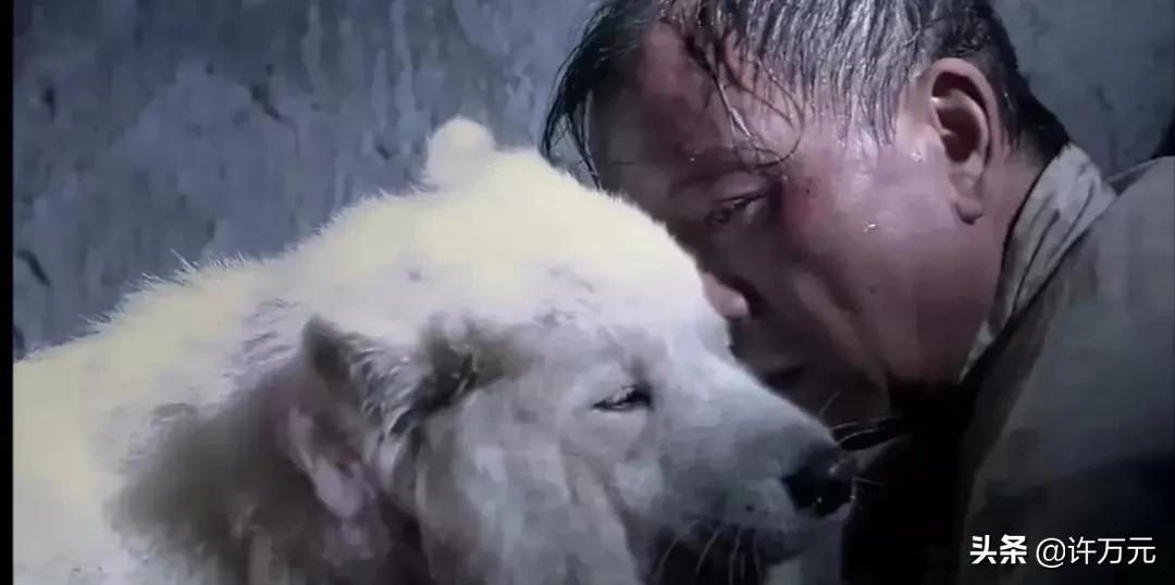 潛伏 餘則成 真愛晚秋 如果和 懸崖 放一起 差距就出來了 許萬元 Mdeditor