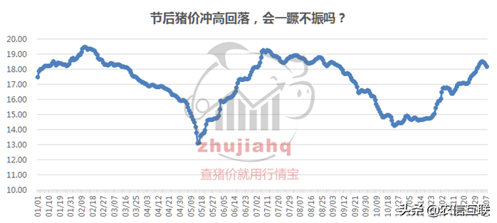 生猪价下跌，专家称今年跌到25元！为何猪肉价格重回40元时代