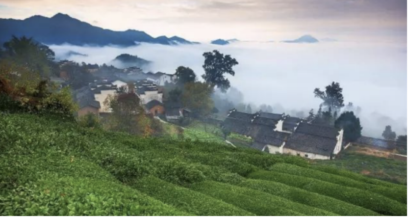 春游江淮请您来 | 玩过了黄山，还有这些小众旅游地可选～