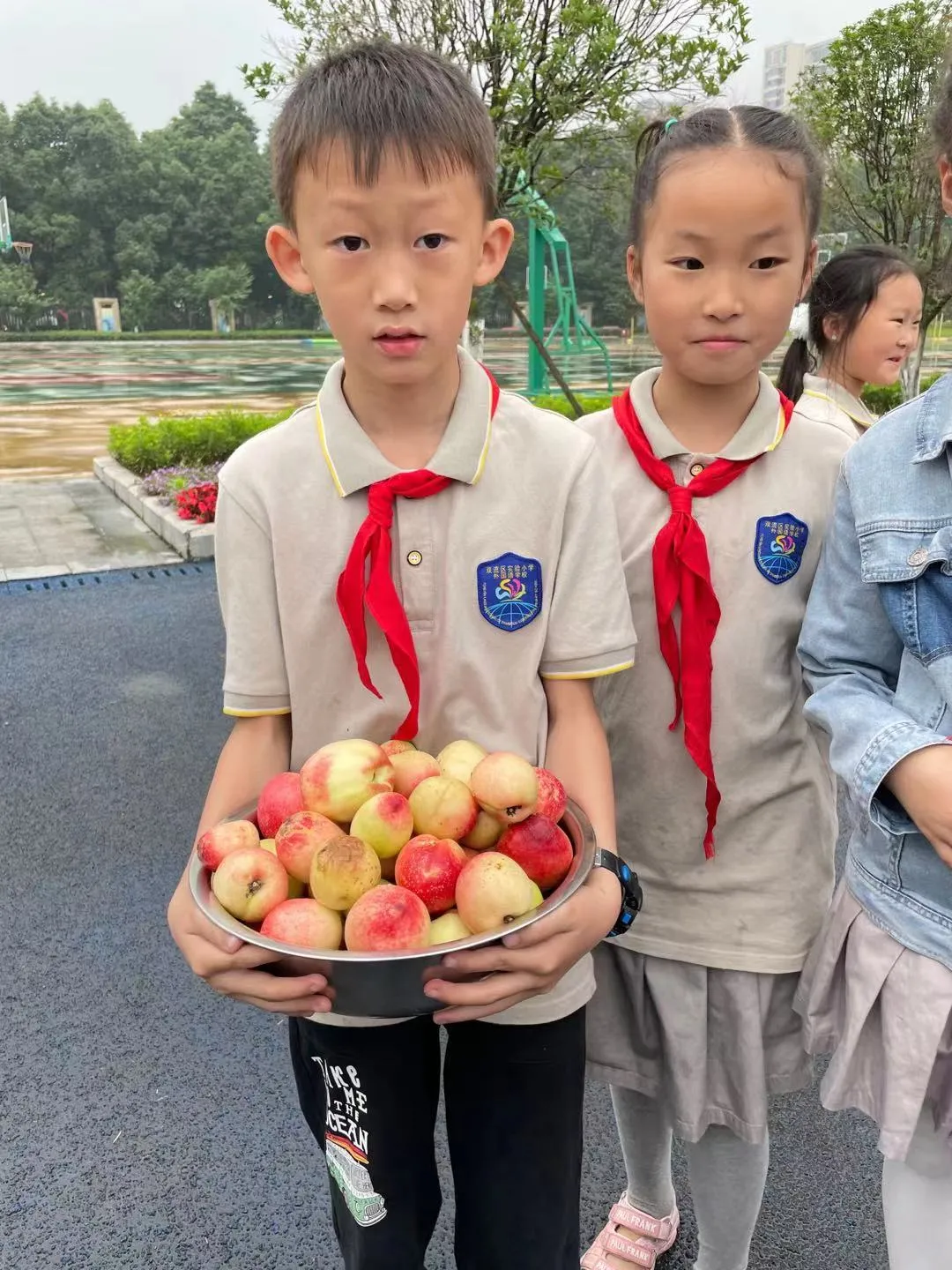 快乐劳动 幸福采摘——双流区实验小学外国语学校劳动课程