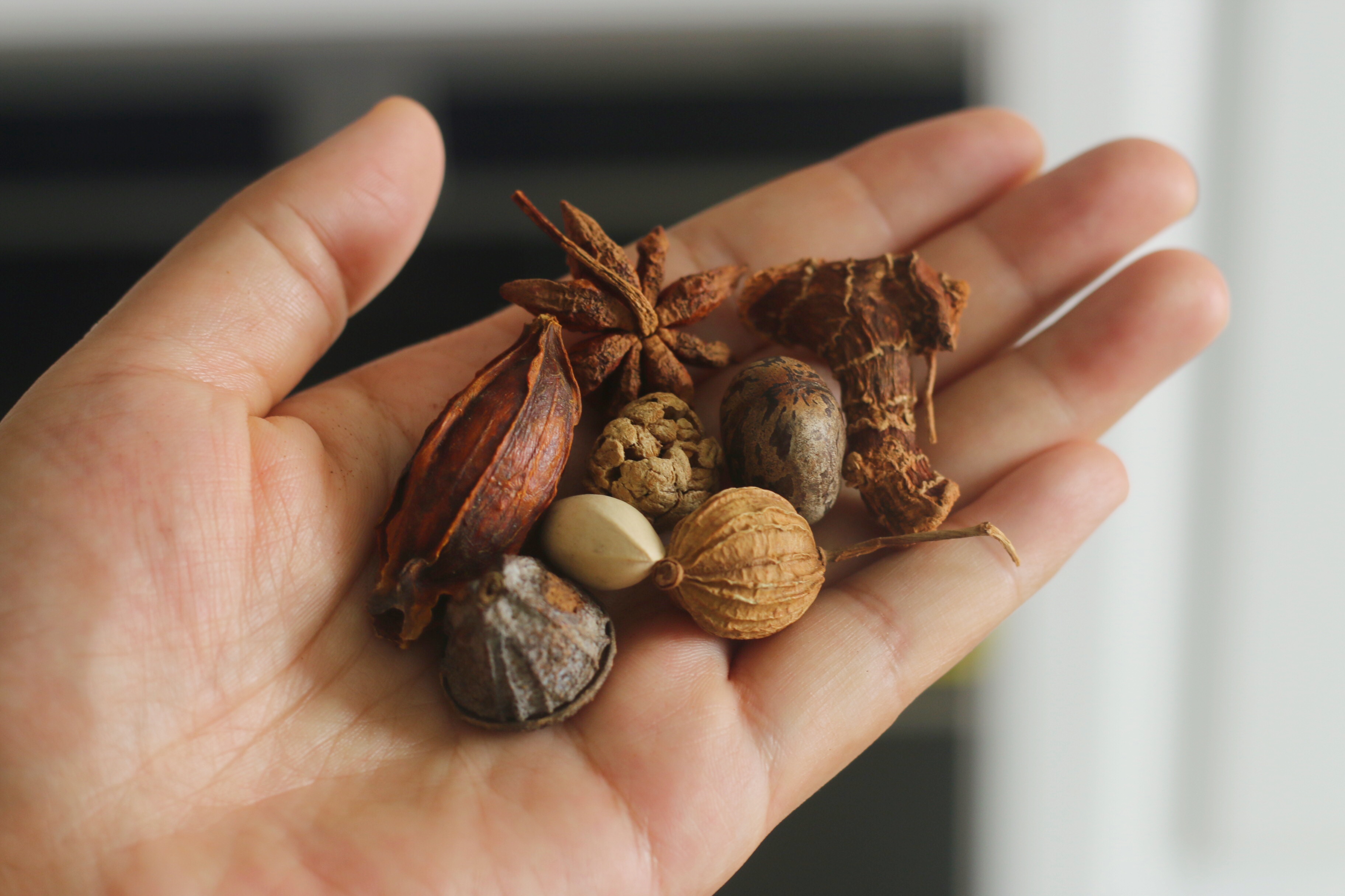 猪肉降到9块，烙几个火烧，卤1锅肉，剁碎一夹，太香了