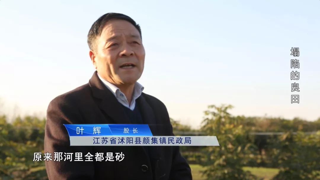 法治天下 | 夜晚偷采矿砂，放藏獒对抗检查，为何如此嚣张？