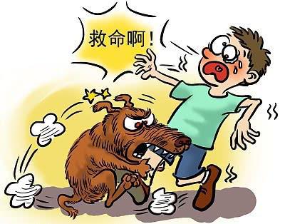 关于狂犬病暴露你需要知道的二三事