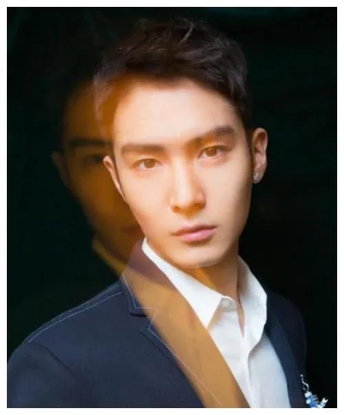 “爆红但很快凉凉”的四位男星，纪凌尘上榜，最后一位谁还记得？
