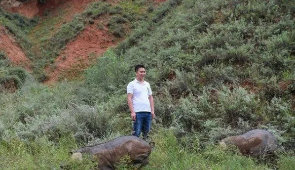 警示：小散户退出，给养殖业带来的是危机