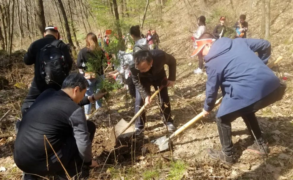 八方游客齐聚秦岭，用双手扮靓春天