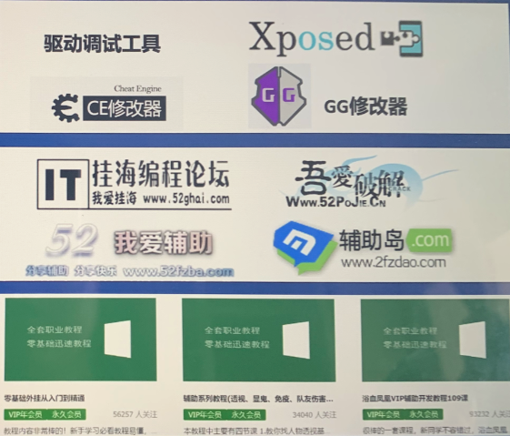 丧心病狂的外挂：透视穿墙，带老板坐飞机，打不过就炸房