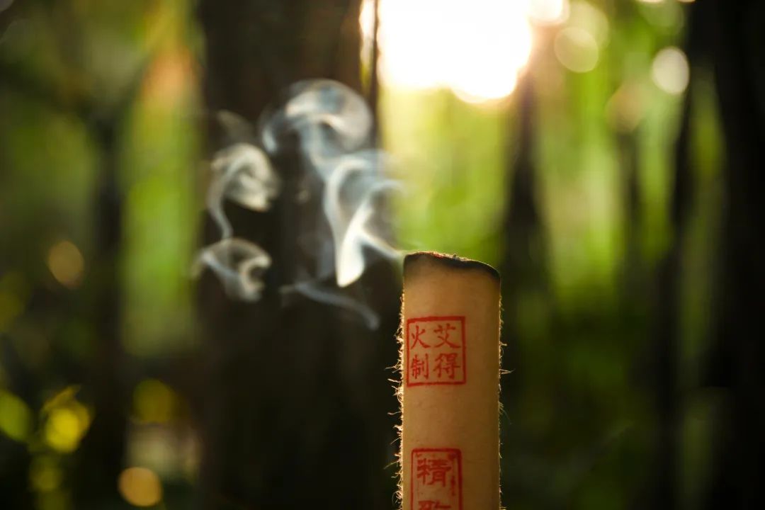 清明时节：“养生草”艾叶这么用，通经络、祛寒湿...超有用