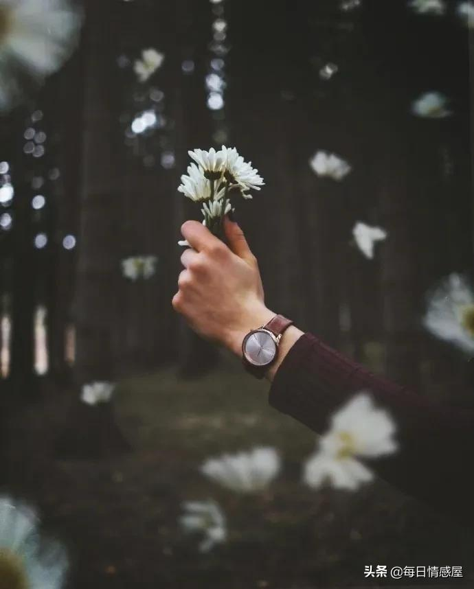 如阳光般励志的正能量句子