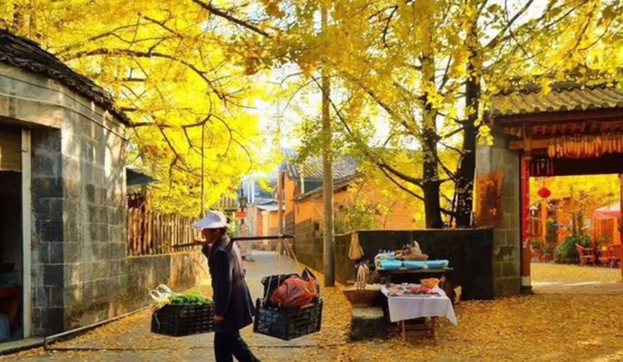 三亚北海算什么？这才是为养老而生的城市，四季如画、生活成本低
