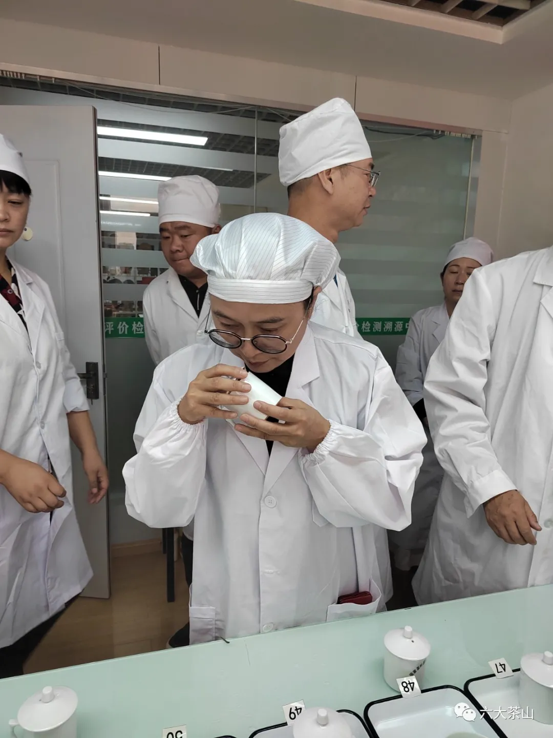 六山积极配合云南省白茶团体标准制定工作,助力云南白茶产业发展