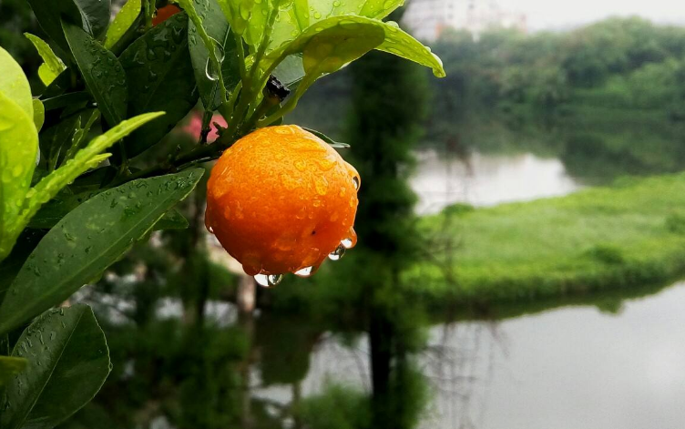 阳光总在风雨后 人生终有暖晴天，那些雨晴的诗词，道尽人生哲理