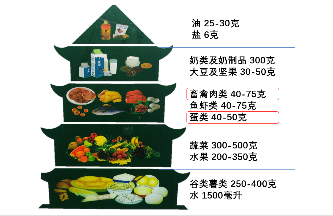 不敢吃鸡蛋？吃素还是胆固醇高？带你重新认识胆固醇