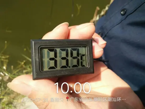 池塘底热的发生原因及危害你了解多少?这6条防控措施务必做好