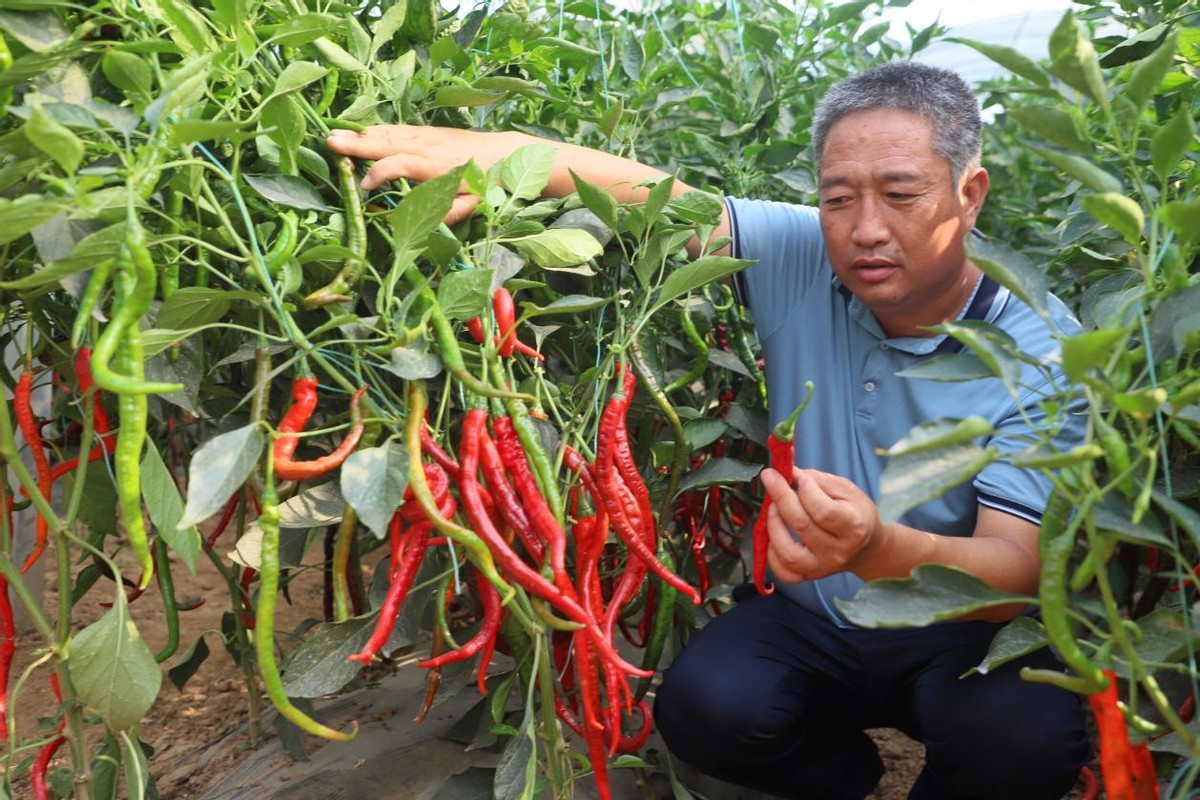 “寻味河北 探秘家乡”主题活动圆满落幕