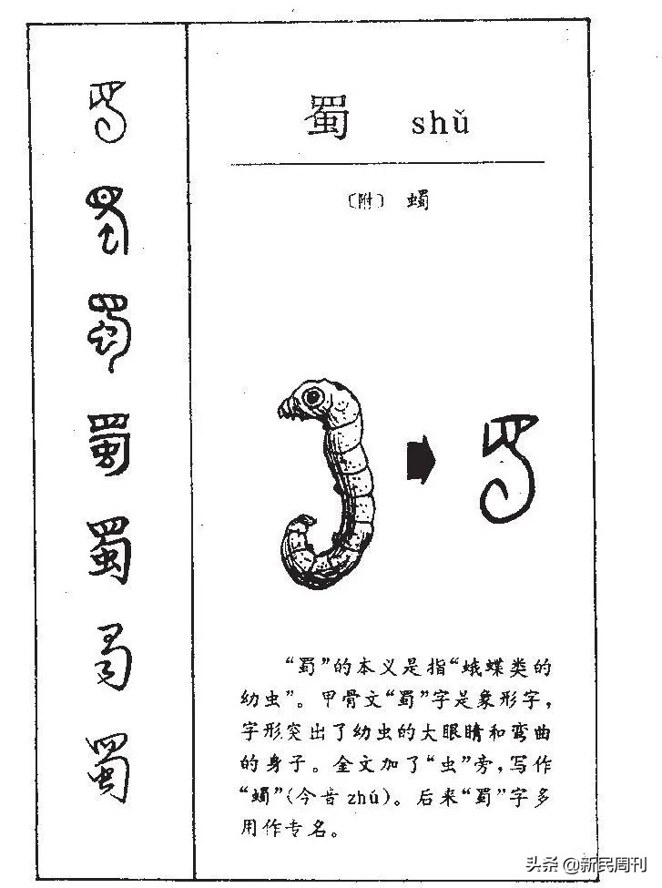 三星堆到底是怎么来的？