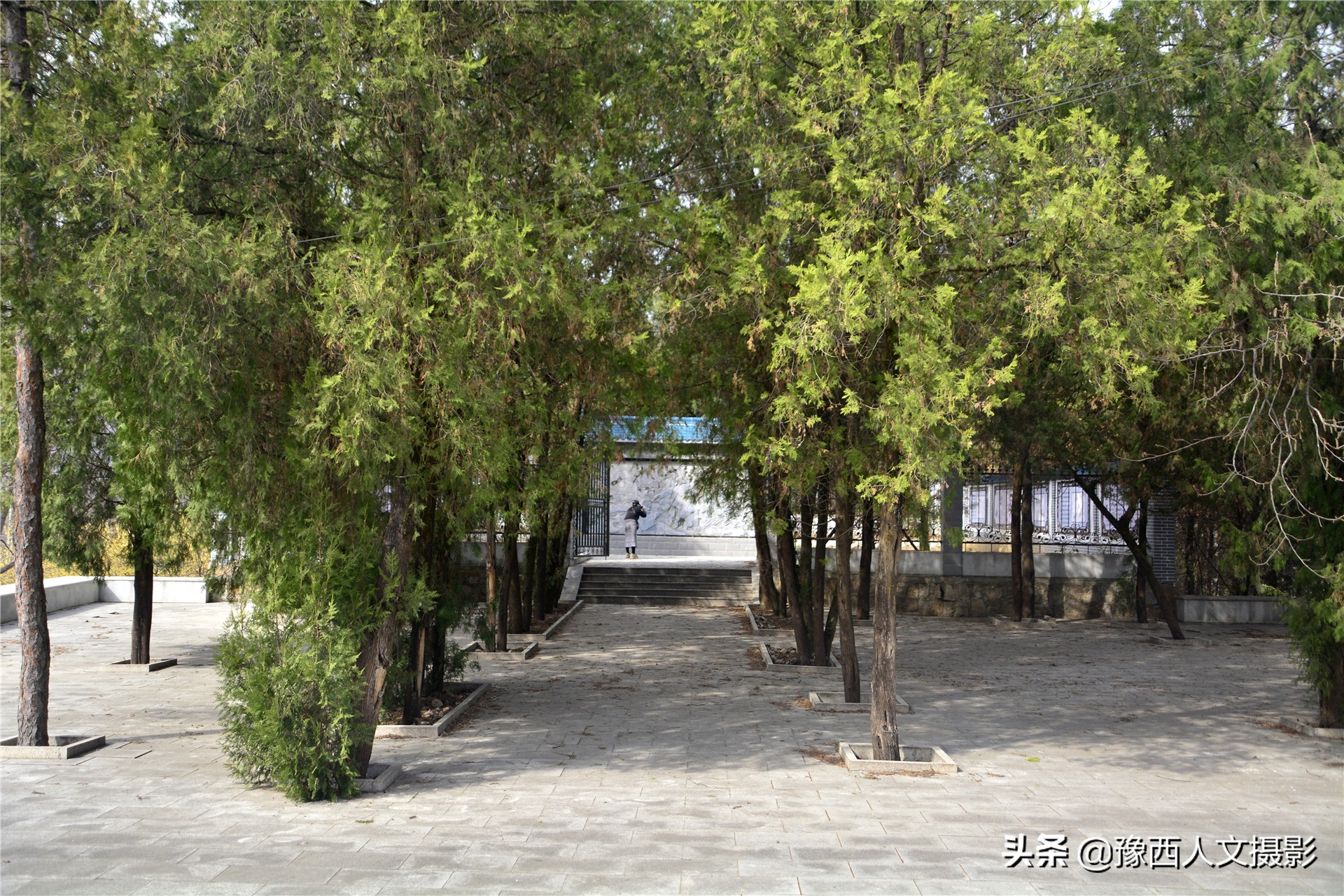 村里土房拆除，农家大叔从挖掘机下抢出来一卷布，啥东西这么珍贵