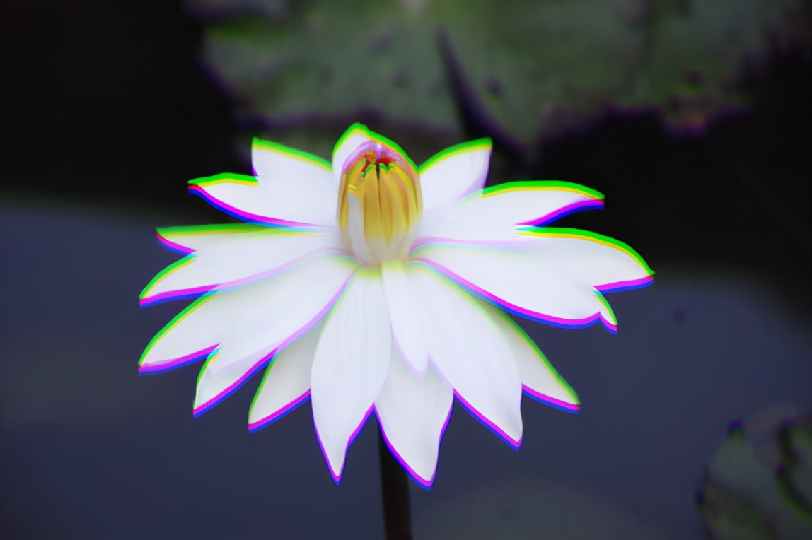 Photoshop通道怎样制作抖音抖动效果