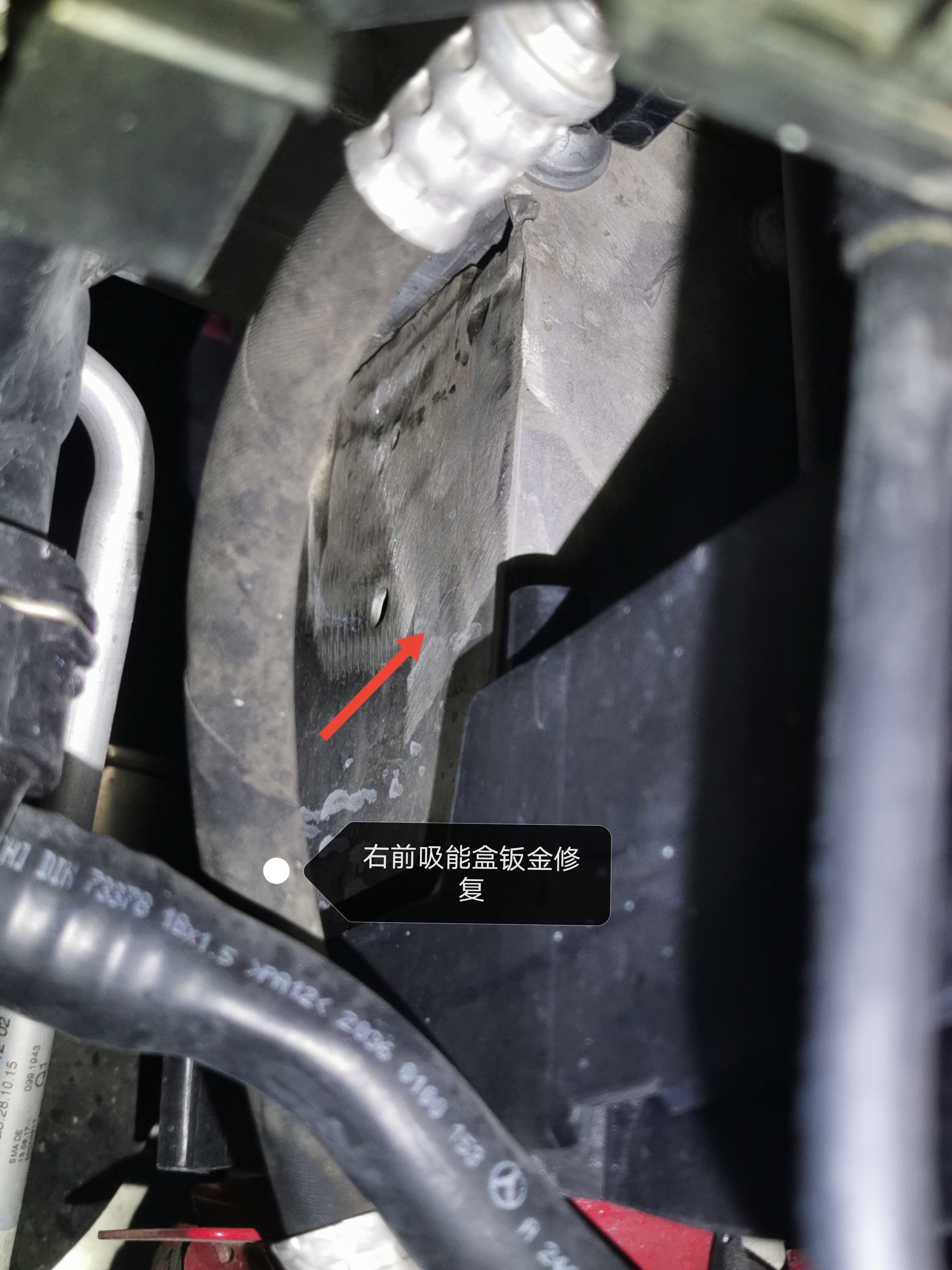 驗完車，才知被包了餃子