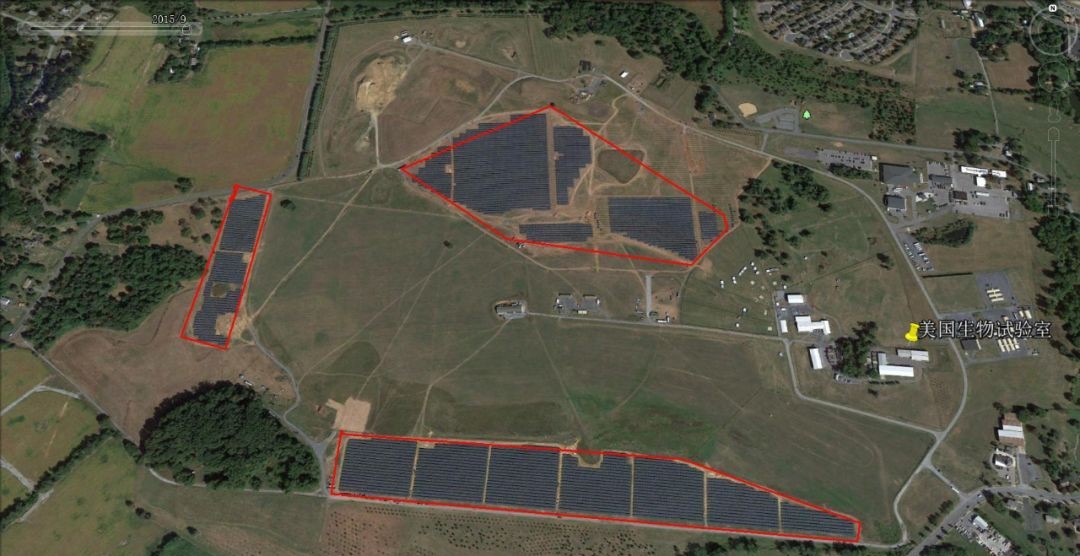 美军炸弹中爬出大量昆虫，志愿军军医化验后惊