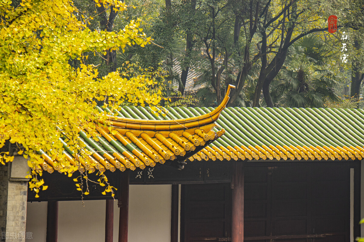 南京的秋天，美成了金陵该有的样子，谁能不爱？插图45