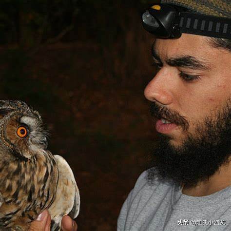 來自中國的羽毛恐龍是這麽換羽毛的