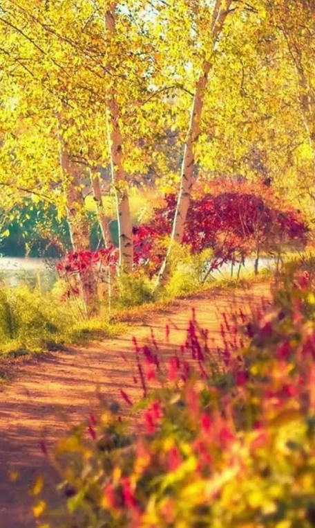 踏歌争唱清秋词，古诗词里的秋词，是秋天最美的色彩-第6张图片-诗句网