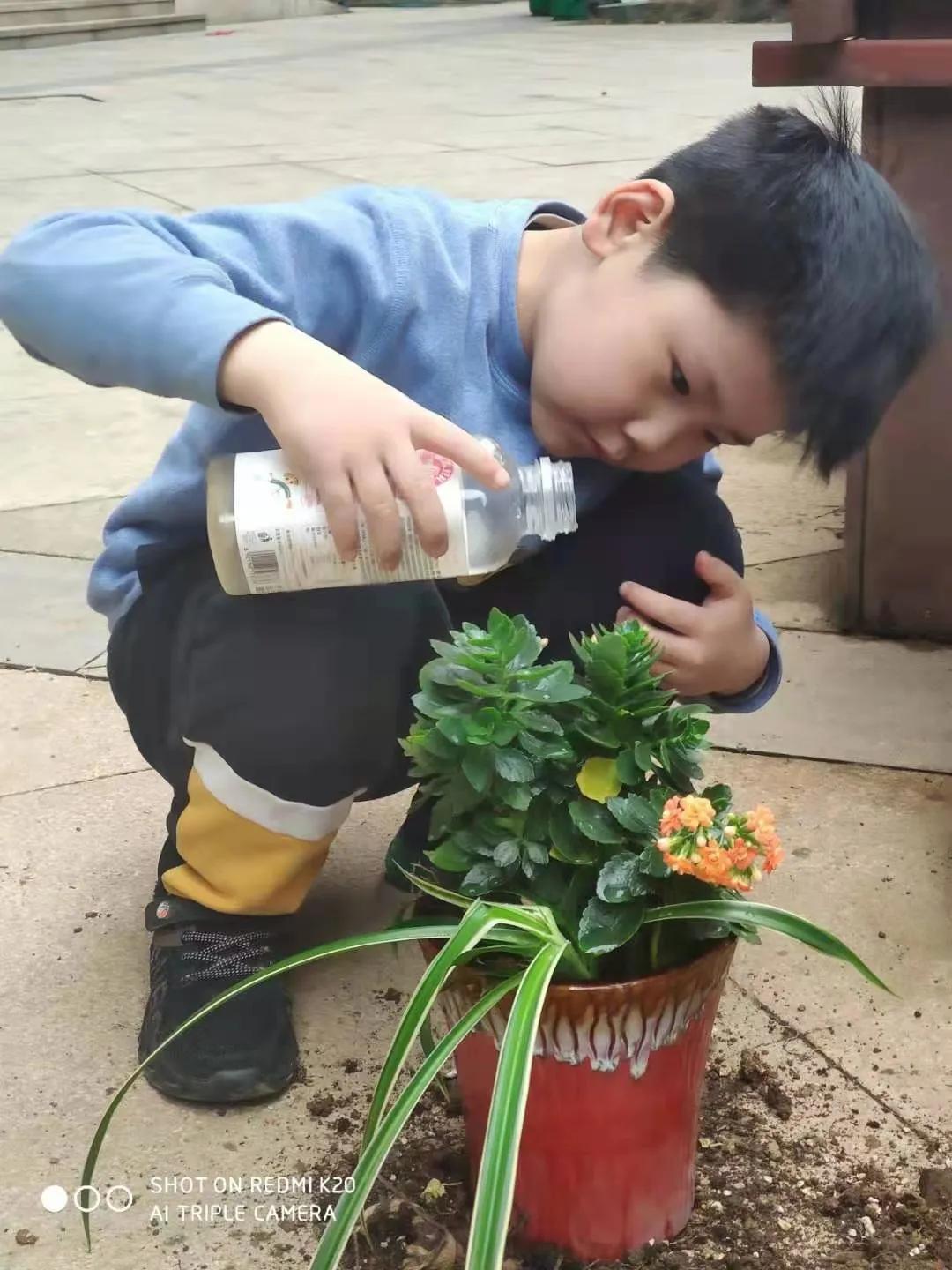 ��֮��.ֲ�̻���--�����еھ�Сѧֲ���ڻ��Ӱ