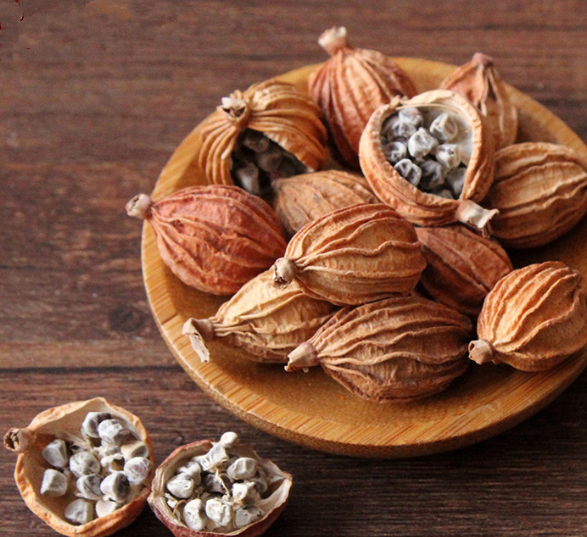 經常胃脹不消化？ 不妨試試用它煲湯做菜，緩解胃不適