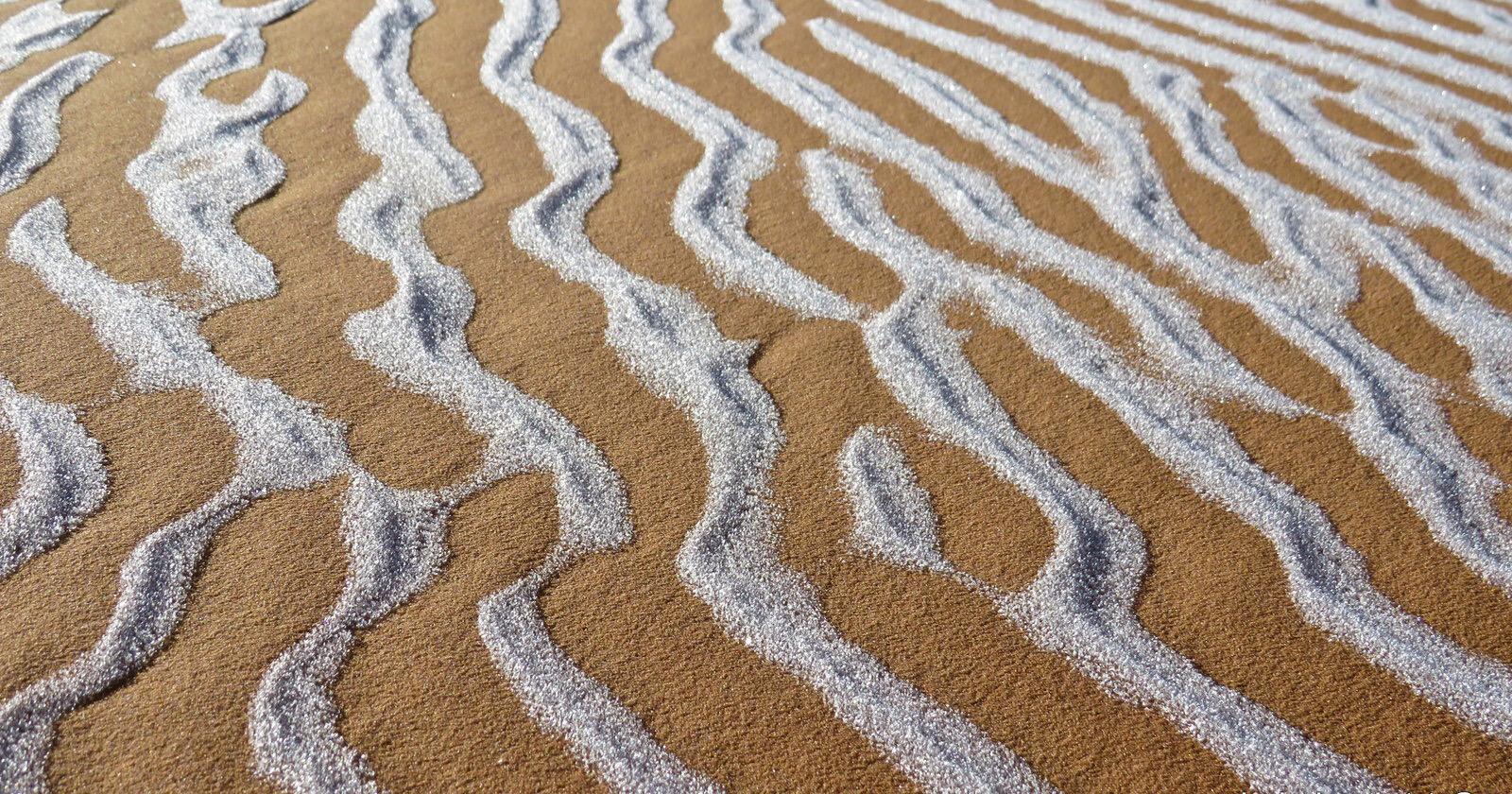 沙漠|骆驼在撒哈拉沙漠雪中漫步 白雪覆盖别样风情