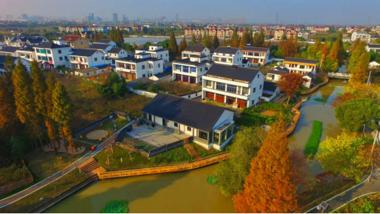 风雅桐乡，乡村美景