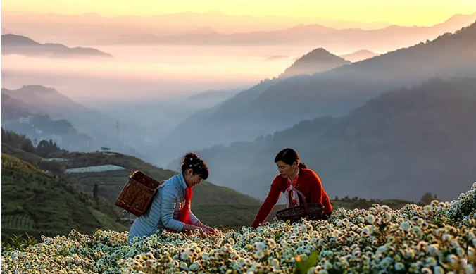 江南好個秋，自在徽州府｜|歙縣首屆秋禧節，十大秋色任你選