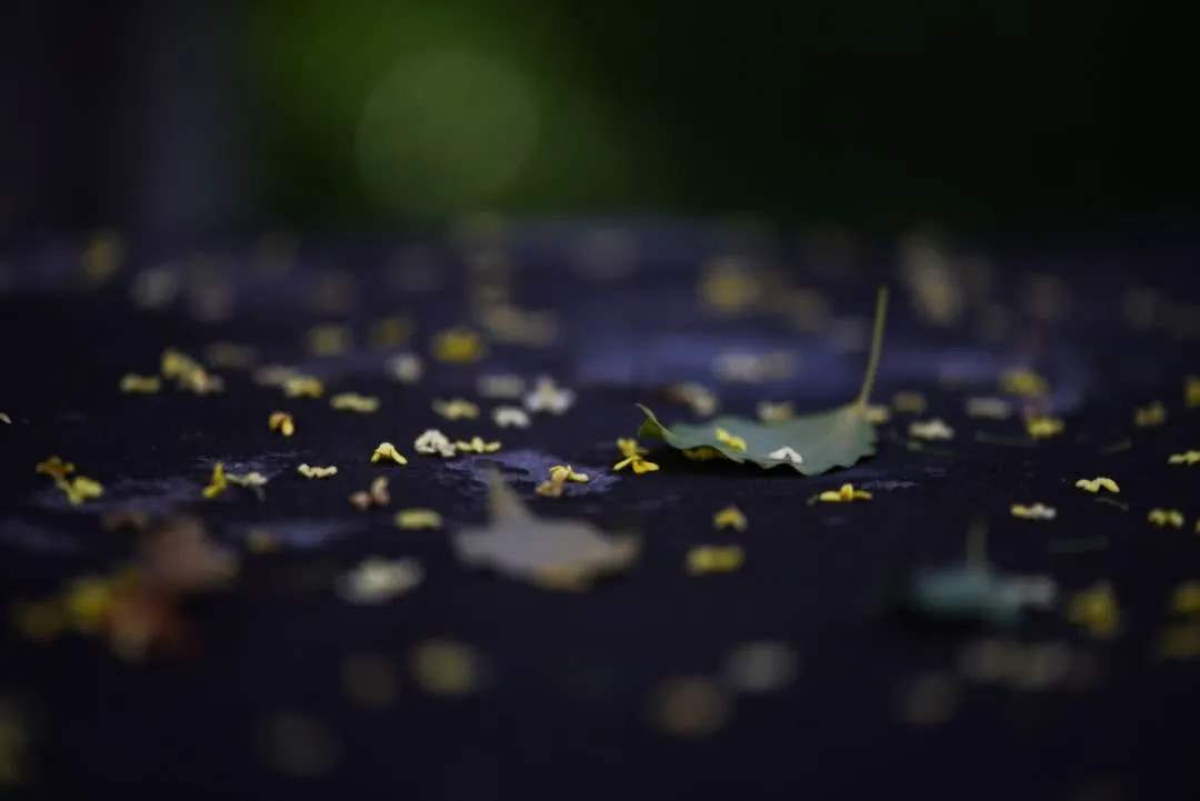 李清照笔下的秋天，有愁苦、有相思、有怀旧-第17张图片-非凡网