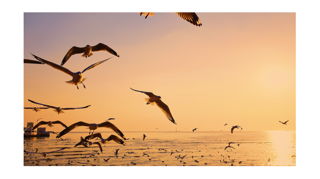 ���͵��ų���������վ������һ������