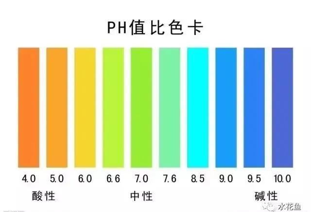 养殖水体四个指标及其调合方法:氨氮、硫化氢、亚硝酸盐和酸碱度