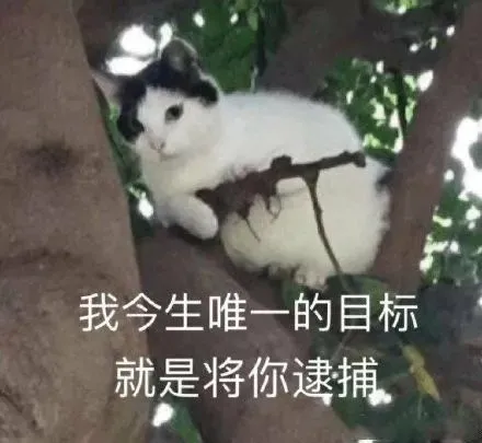 最容易跟女生聊出感情的几个话题,百试不爽