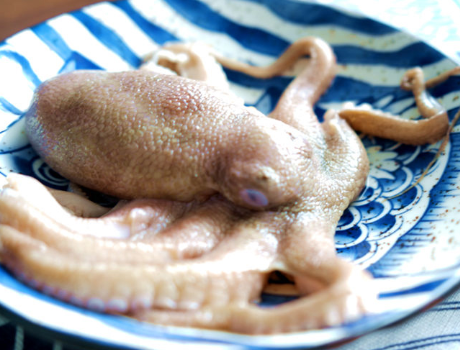 图片[2]-秋天碰到章鱼别手软现在正值上市营养高更肥嫩抓紧吃-起舞食谱网