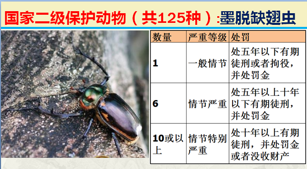 国家最新125类二级野生保护名录，图片及违法对应刑责