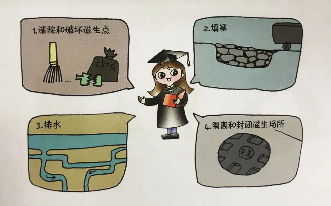 今年你被咬了吗？知己知彼，夏日战蚊必读
