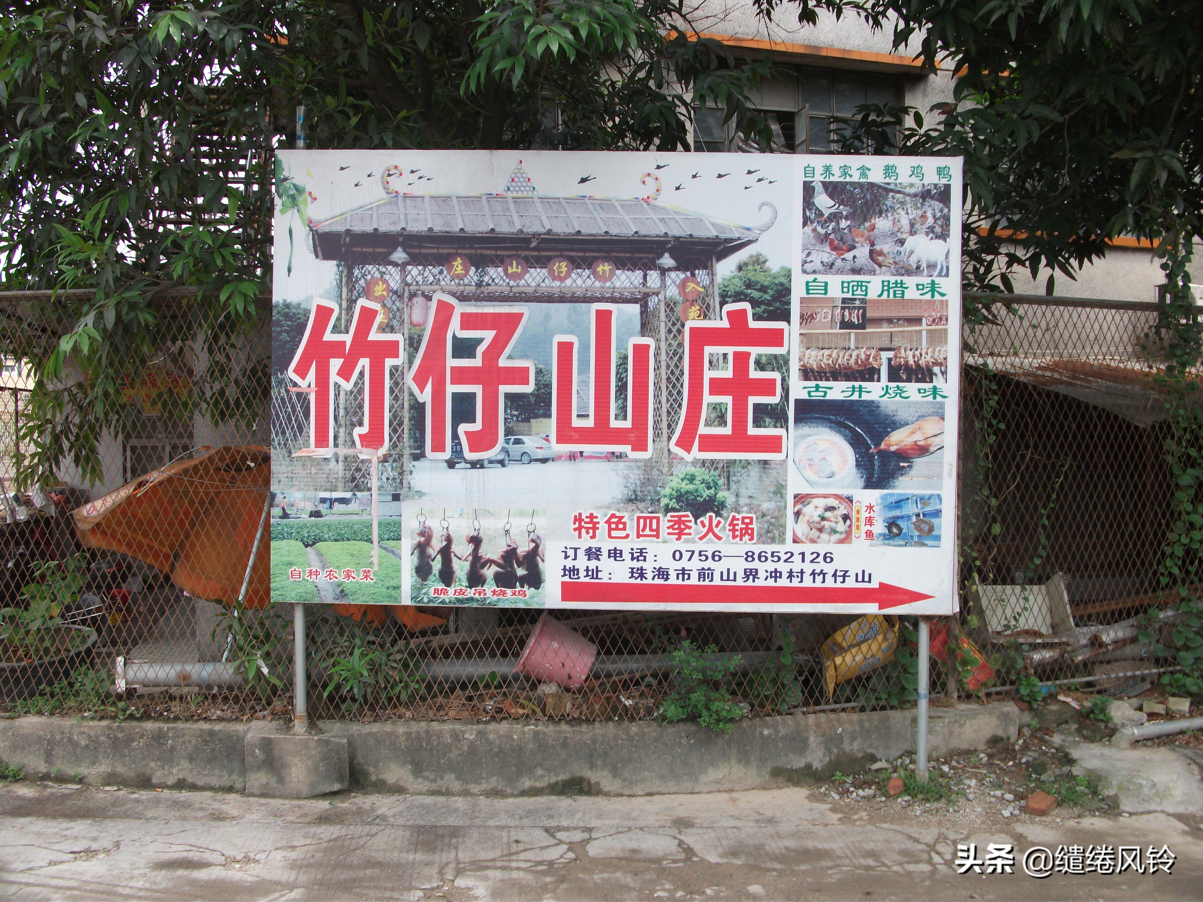 珠海界涌村：山藏古庙云藏树，揭秘清代初年“灵坟后蒙”显灵传闻