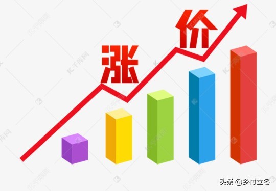 百年一遇的玉米行情，超1元/斤的收购价，2021还会持续么？