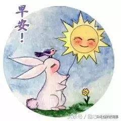 晚上好的问候 晚安心语语录大全图片