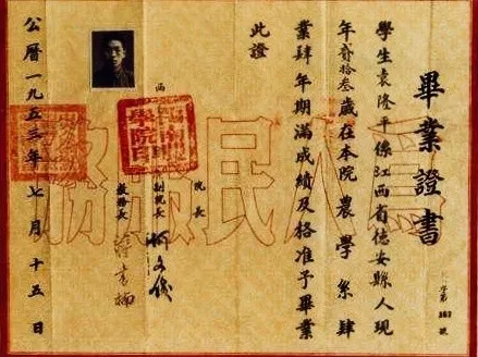 感动的爱情故事 睡前故事,给恋人的睡前小故事长篇 第3张