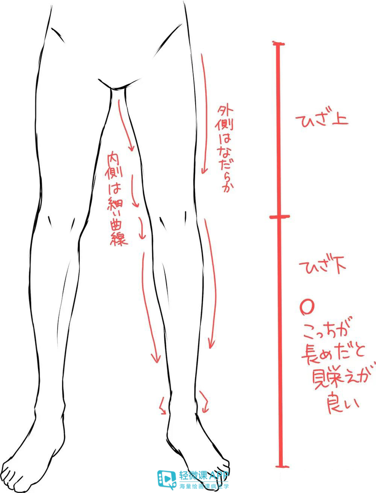 如何快速画出动漫人物的全身 动漫人体的绘制技巧 新片场