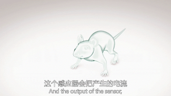 2021來了，2077還有多遠？