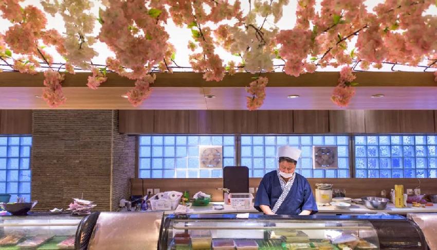 一再被唱衰！從高端走向平民化，壽司該如何突圍